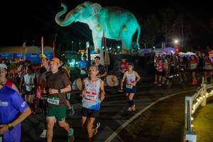 BIB: 
                            <button type="button" onclick="openModal(26552334)" class="btn btn-primary btn-sm float-right btn-popup" data-toggle="modal" data-target=".modal-high-quality">
                        <i class="fas fa-shopping-cart"></i> Add to Cart
                    </button>
                                            <button type="button" onclick="isThisMe(26552334, true)" class="btn btn-success btn-sm float-right btn-popup btn-isme hidden" data-toggle="tooltip" data-placement="bottom" title="นี่คือรูปของคุณใช่ไหม คลิกที่นี่เพื่อเอาเข้าอัลบั้ม">
                        <i class="fas fa-plus"></i> Add to album
                    </button>
                    <button type="button" onclick="isThisMe(26552334, false)" class="btn btn-warning btn-sm float-right btn-popup btn-isnotme hidden">
                        <i class="fas fa-ban"></i> Remove from album
                    </button>